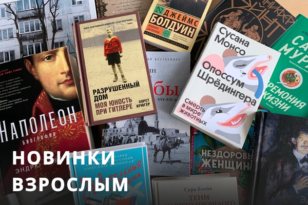 Все книги жанра Эротика